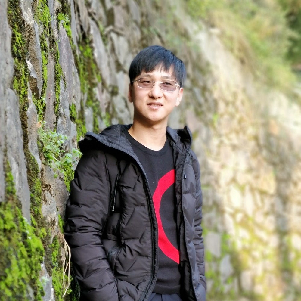 浮华蒲公英的照片