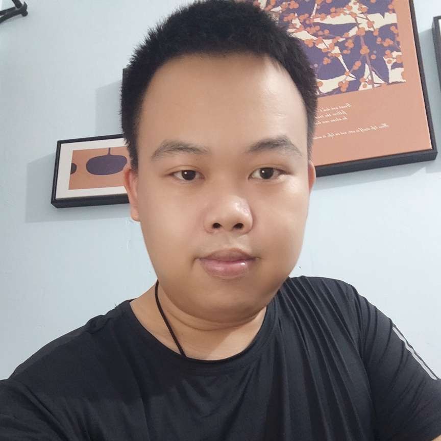 小巧回首太阳的照片
