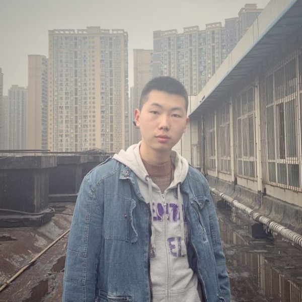 梵高星空下的稻田的照片