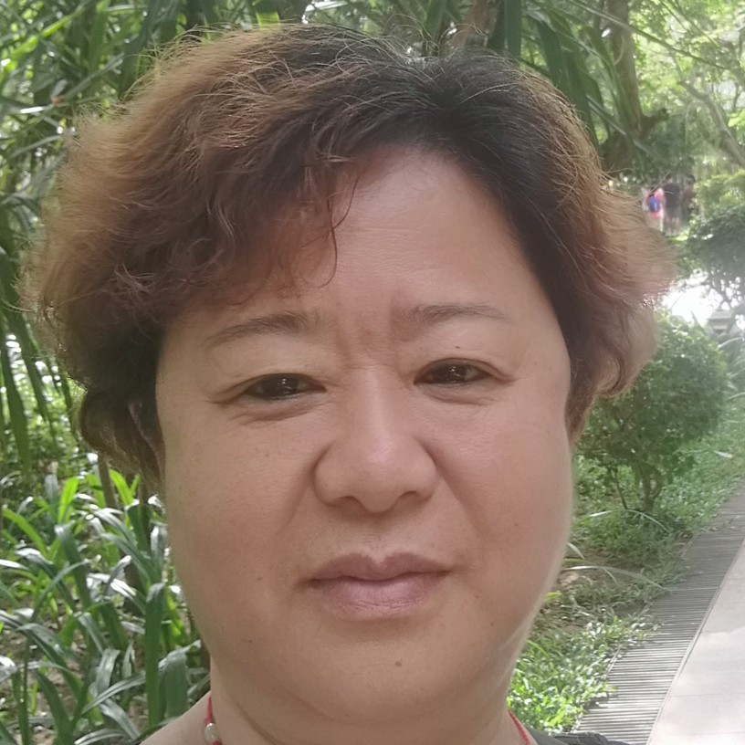树叶明理的照片