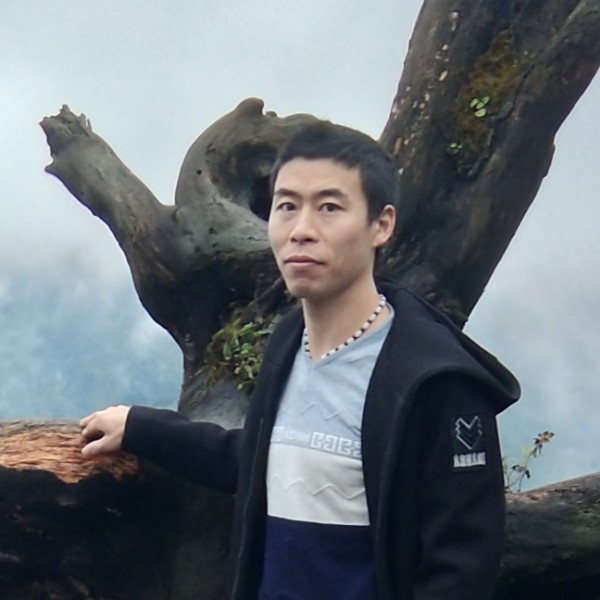 T恺的照片