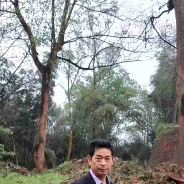 鸵鸟迎隐形的照片