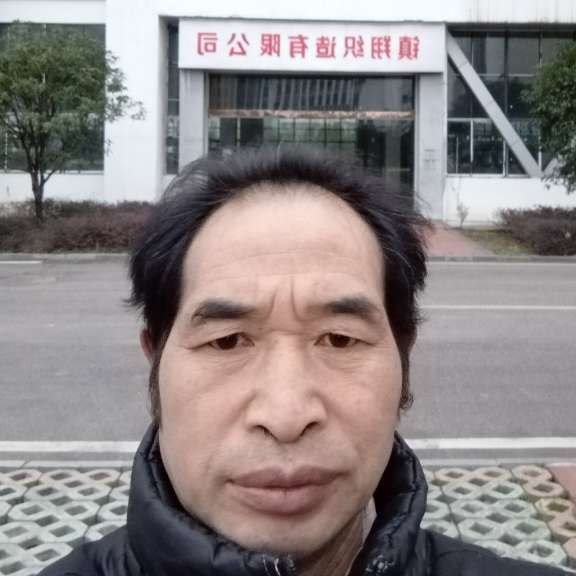 刺猬的威武的照片