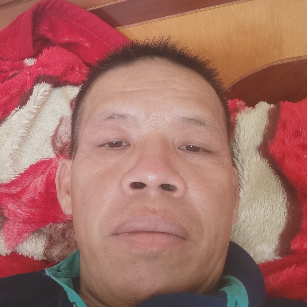 老鼠的合适的照片