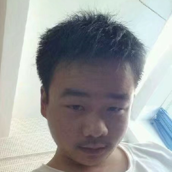 落叶的照片