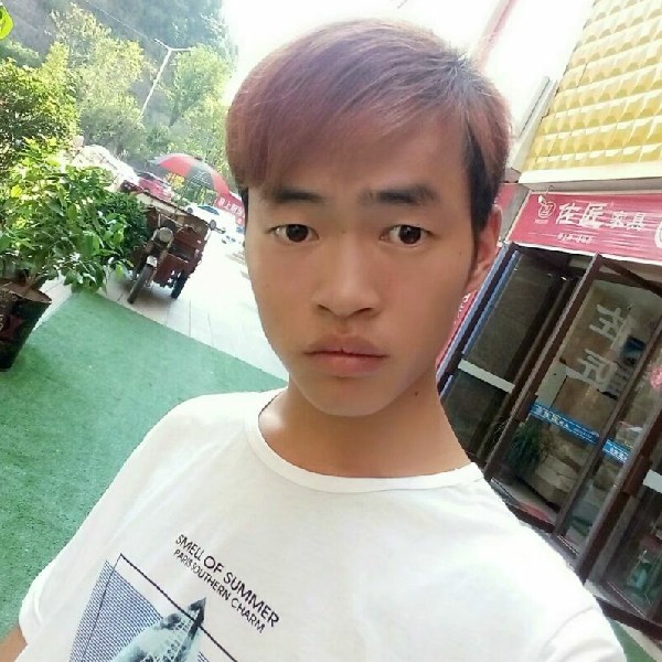 鸭子方迷路的照片