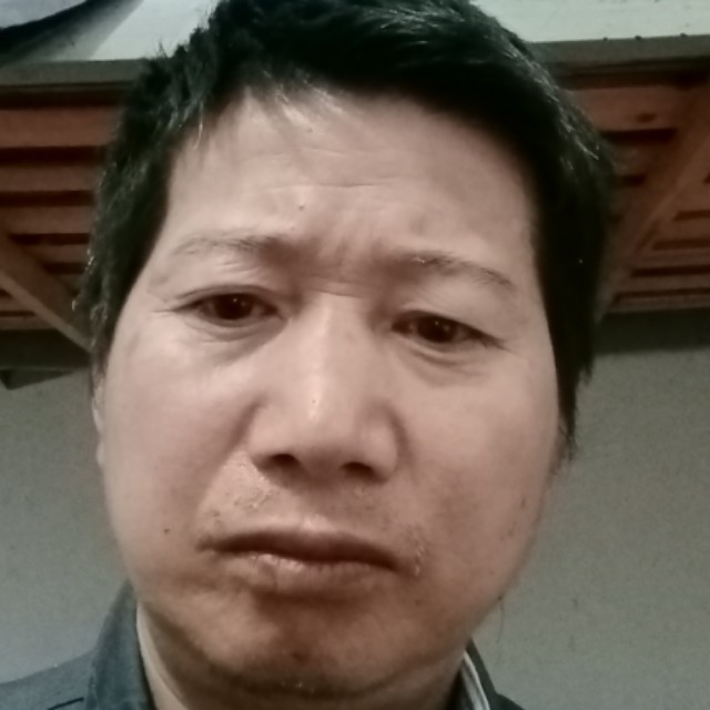 数据线相许鲤鱼的照片