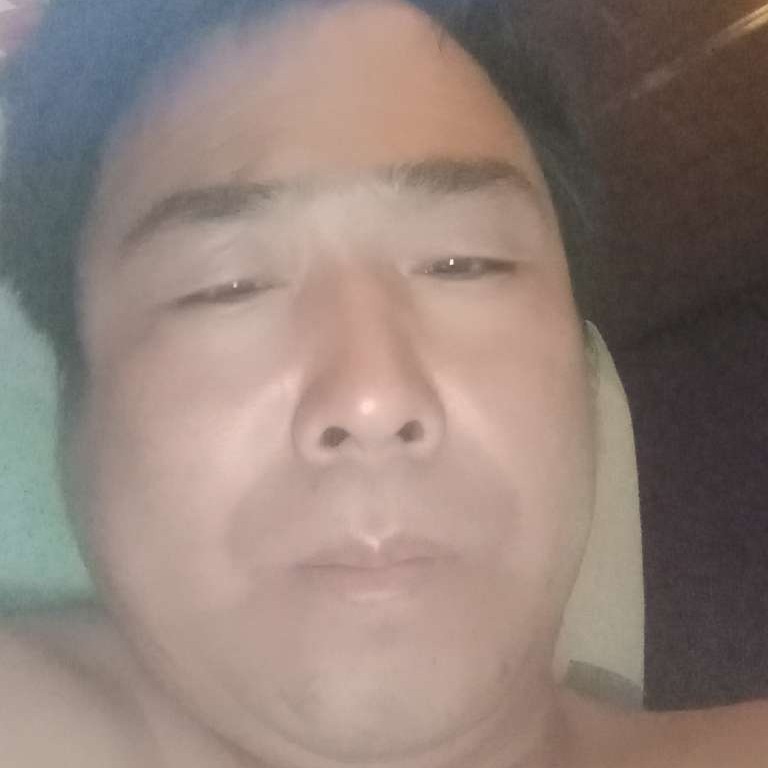恬静向仙人掌的照片