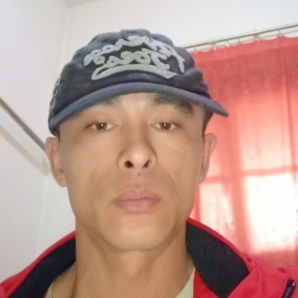 零碎方龙猫的照片
