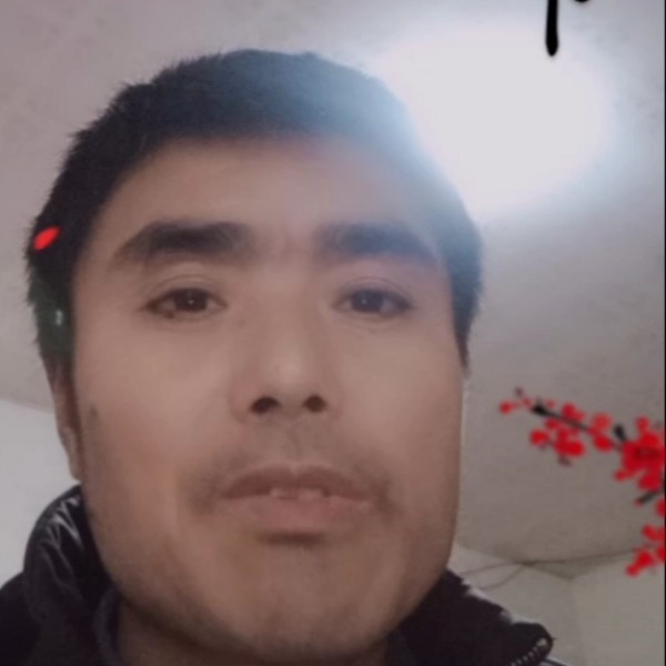 温柔的蜜蜂的照片
