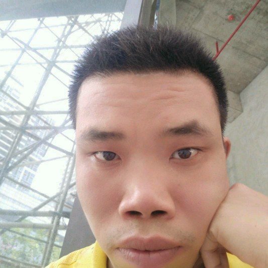 刺猬复杂的照片