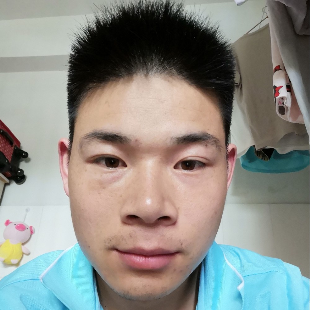 小懒猪演变彼年的照片