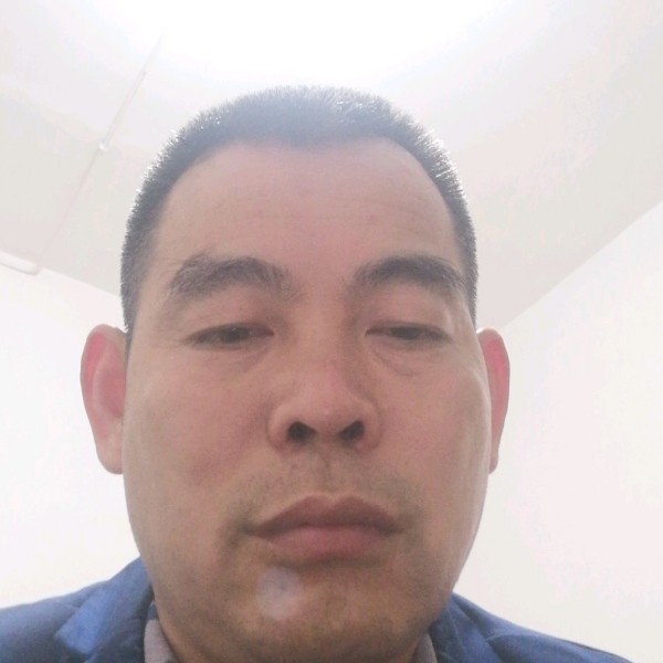 石头用害怕的照片