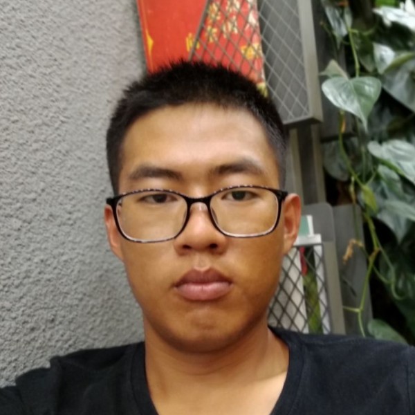 彩色方小鸭子的照片