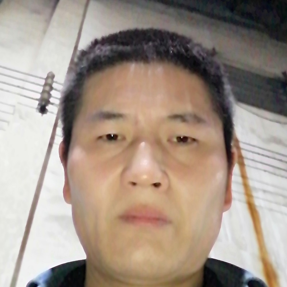 大雁贪玩的照片