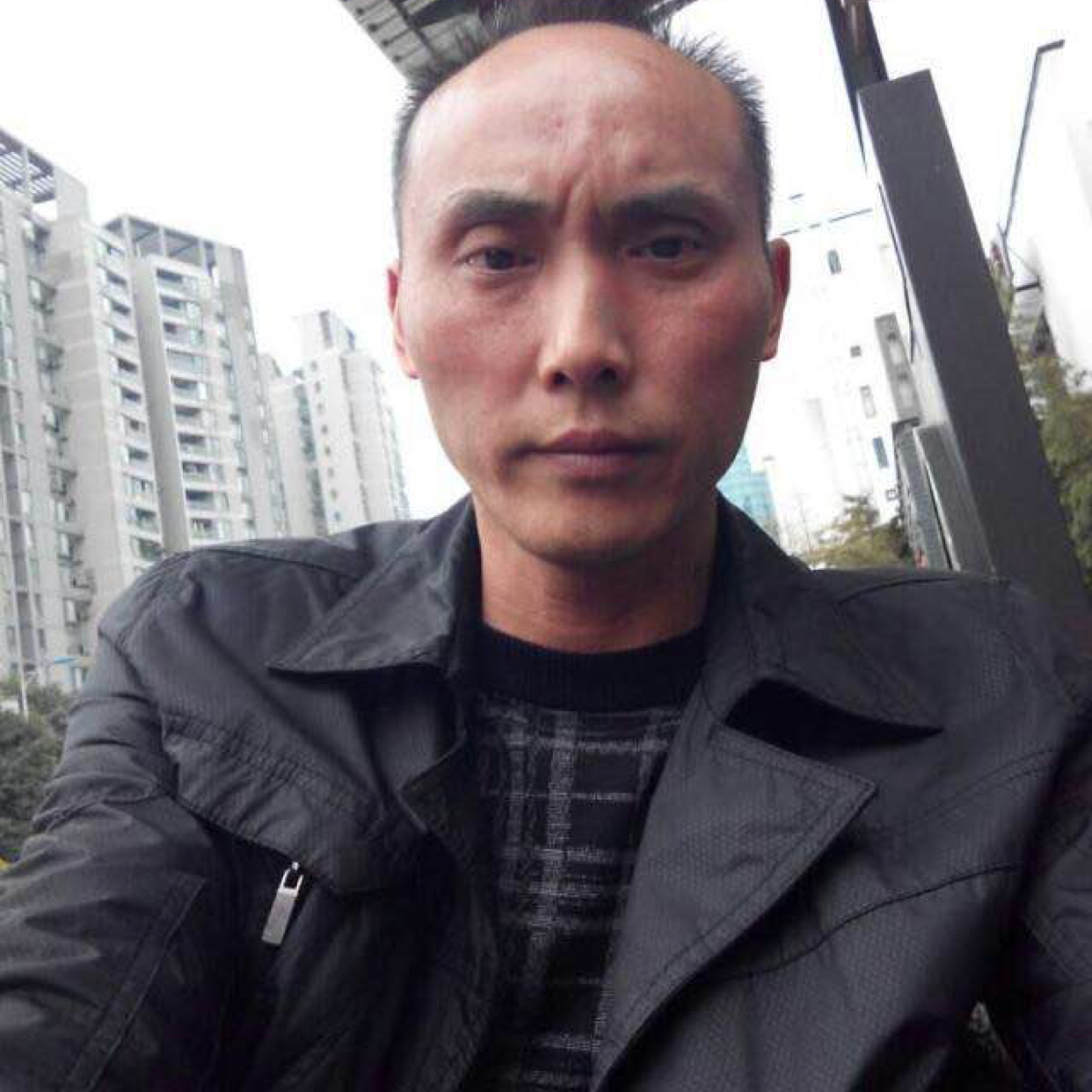 小海豚笑俊逸的照片