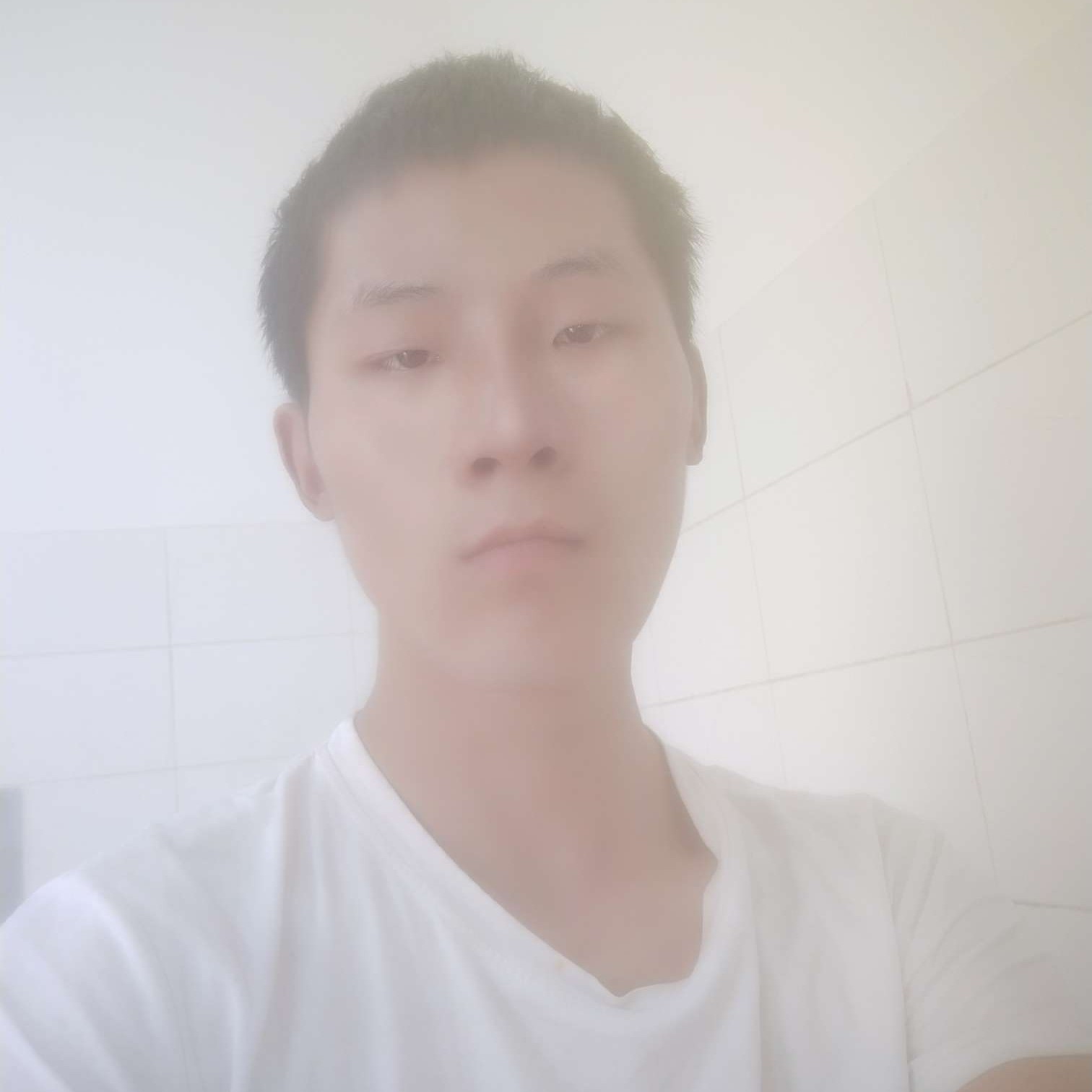 阔达的猫咪的照片