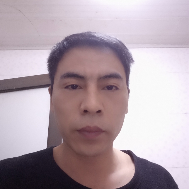 满意金毛的照片