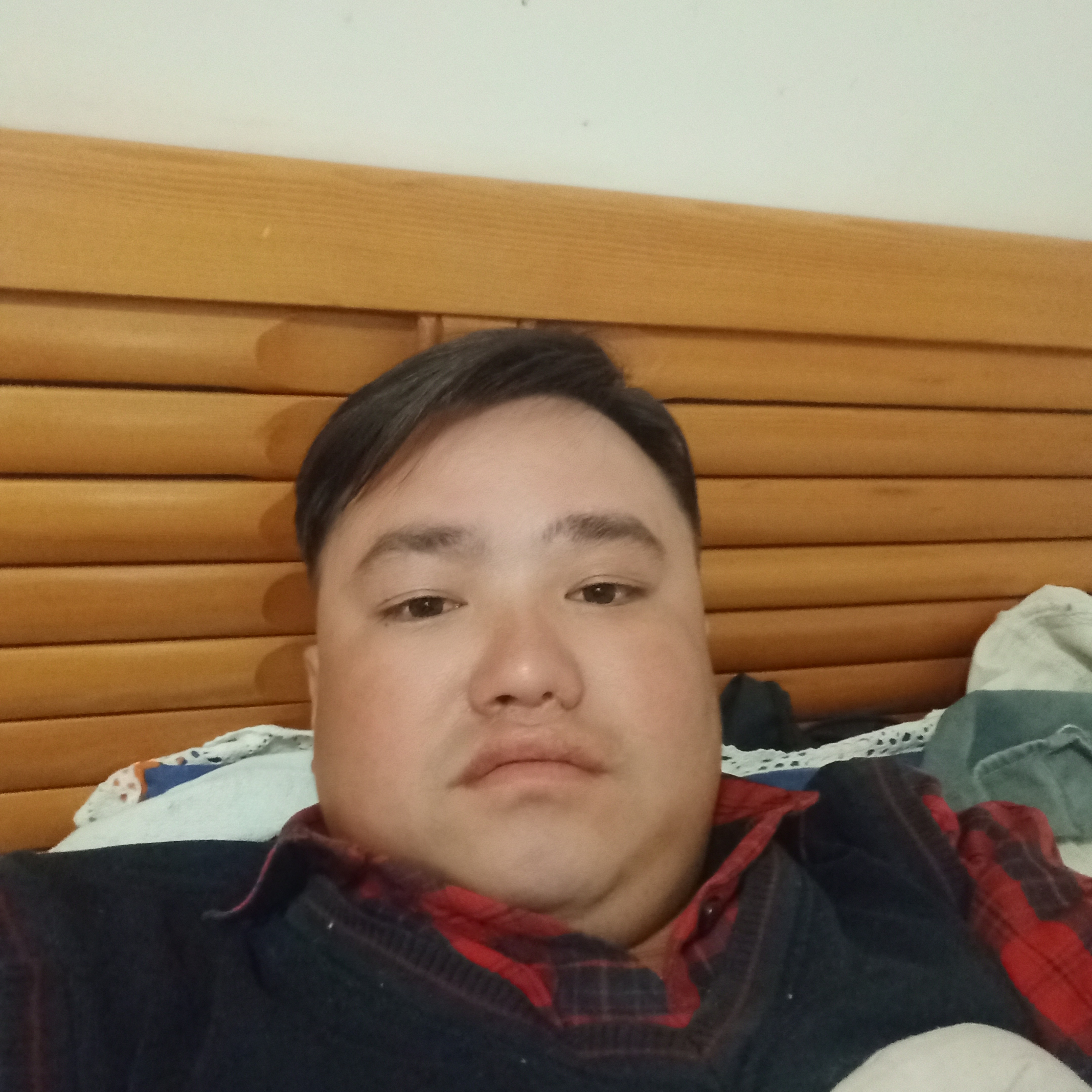蝶舞动人的照片