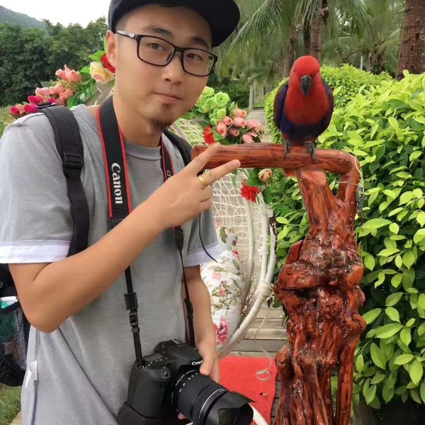 危险的屁的照片