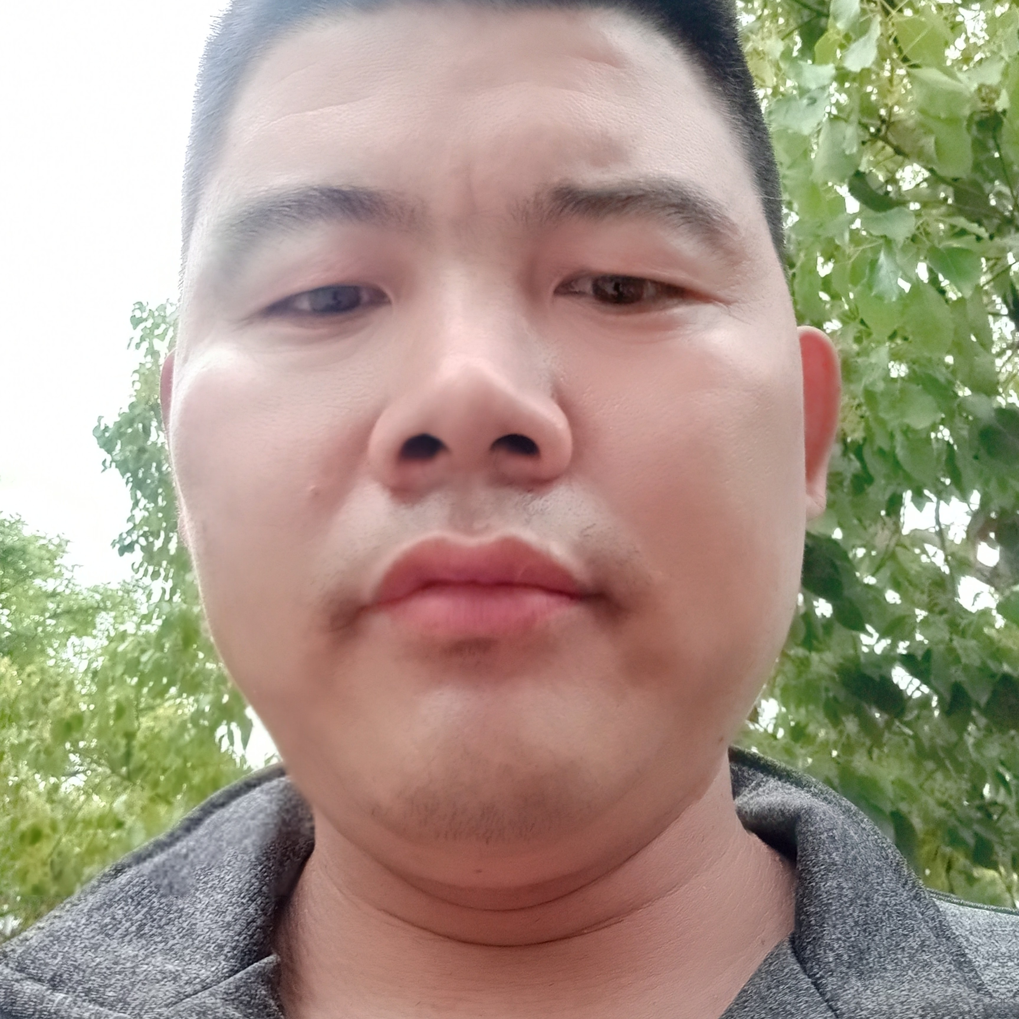 乌冬面演变勤的照片