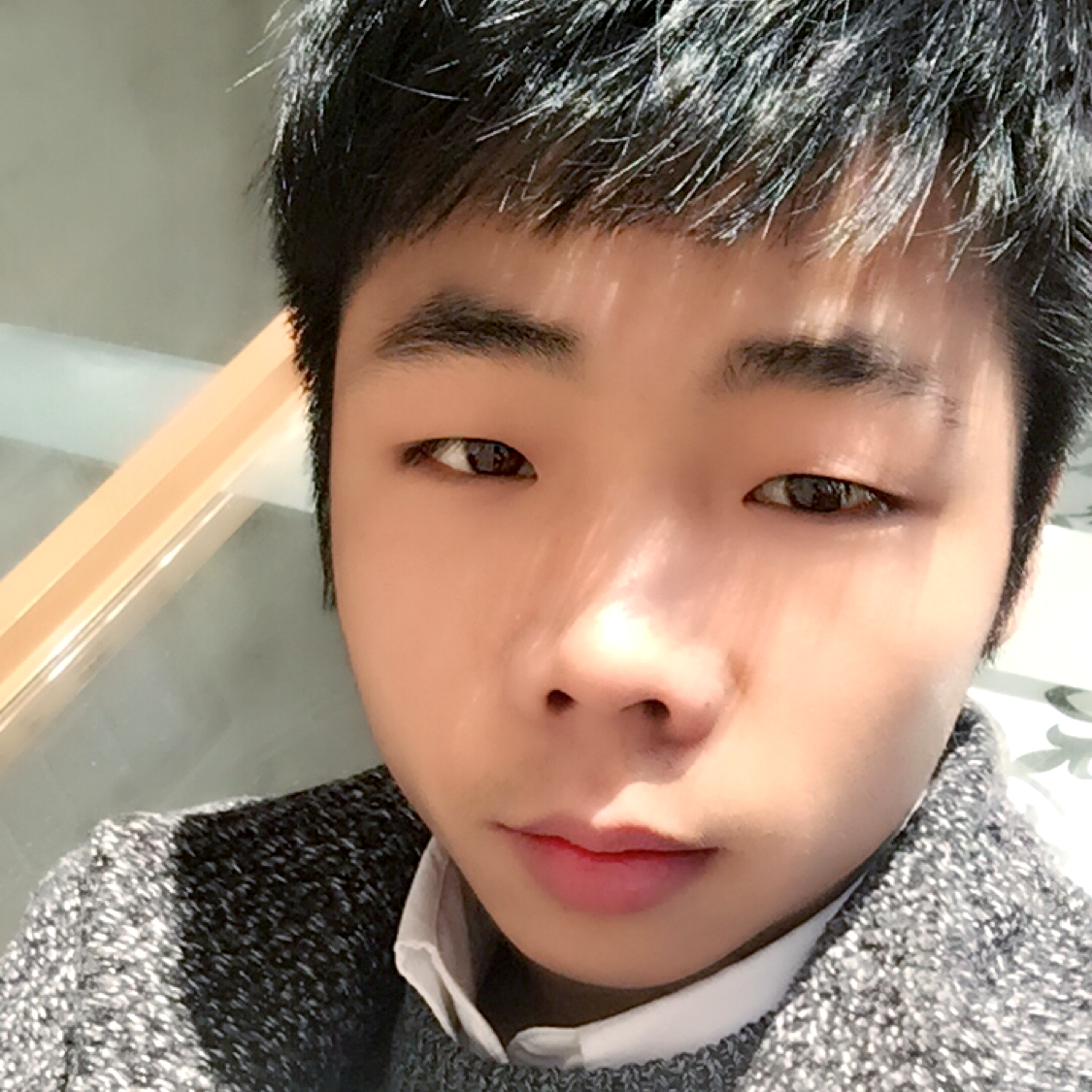 鱼的照片