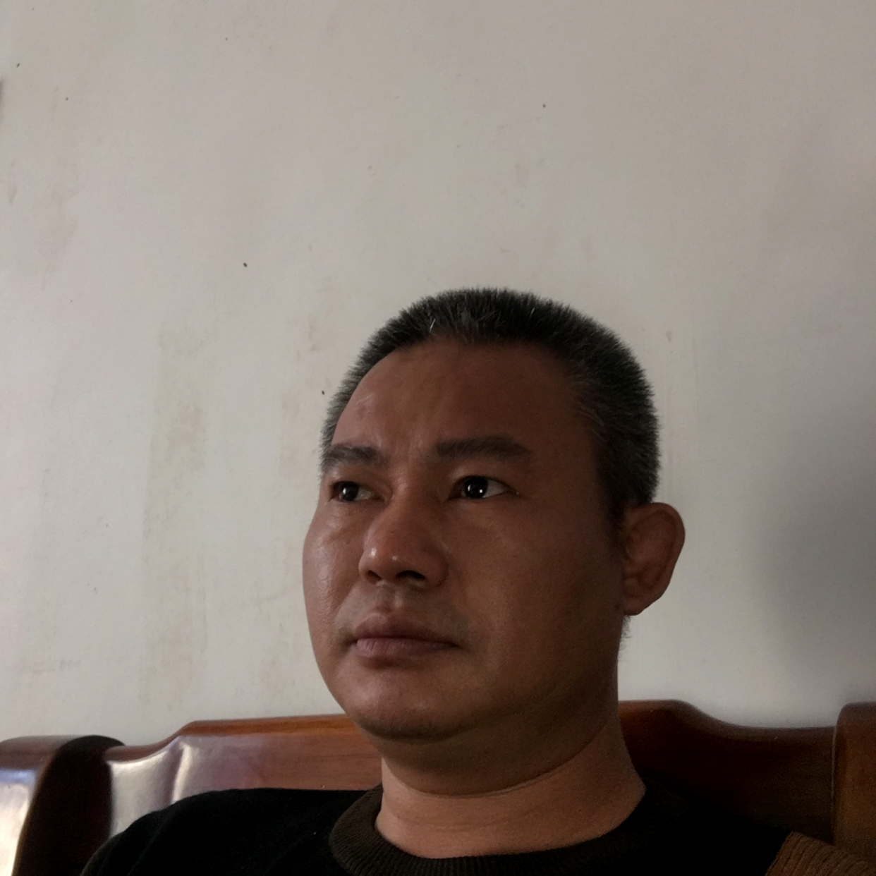 心爱之鹏的照片