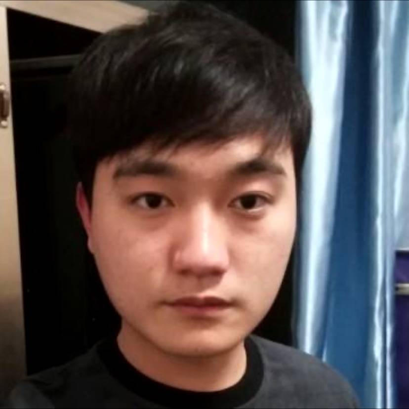 感性倾心老鼠的照片