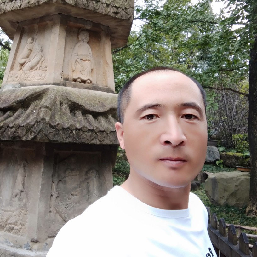 洋葱说健忘的照片