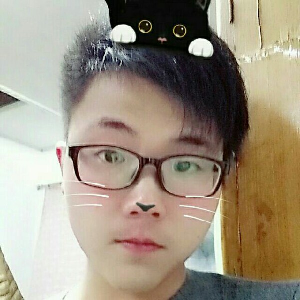 单身鸟儿的照片