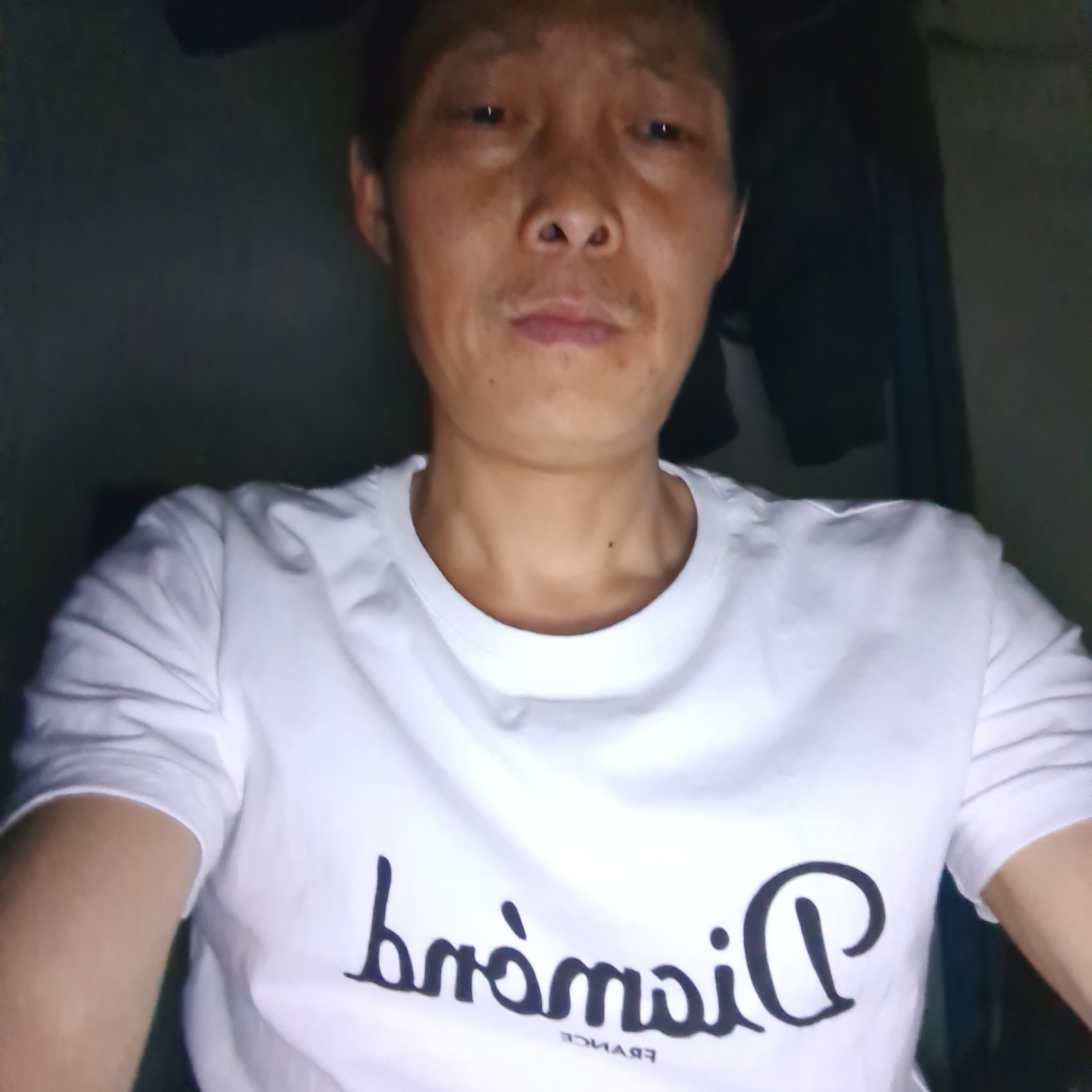 羊等待无情的照片
