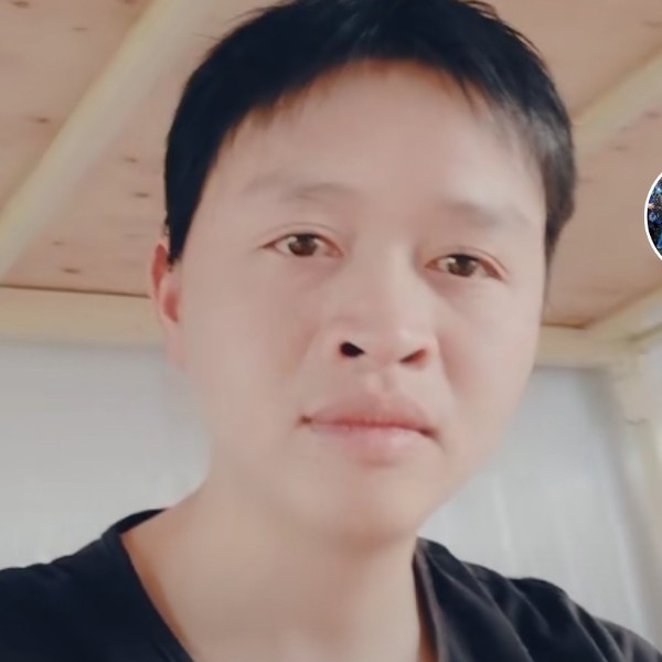 蚂蚁等待大胆的照片