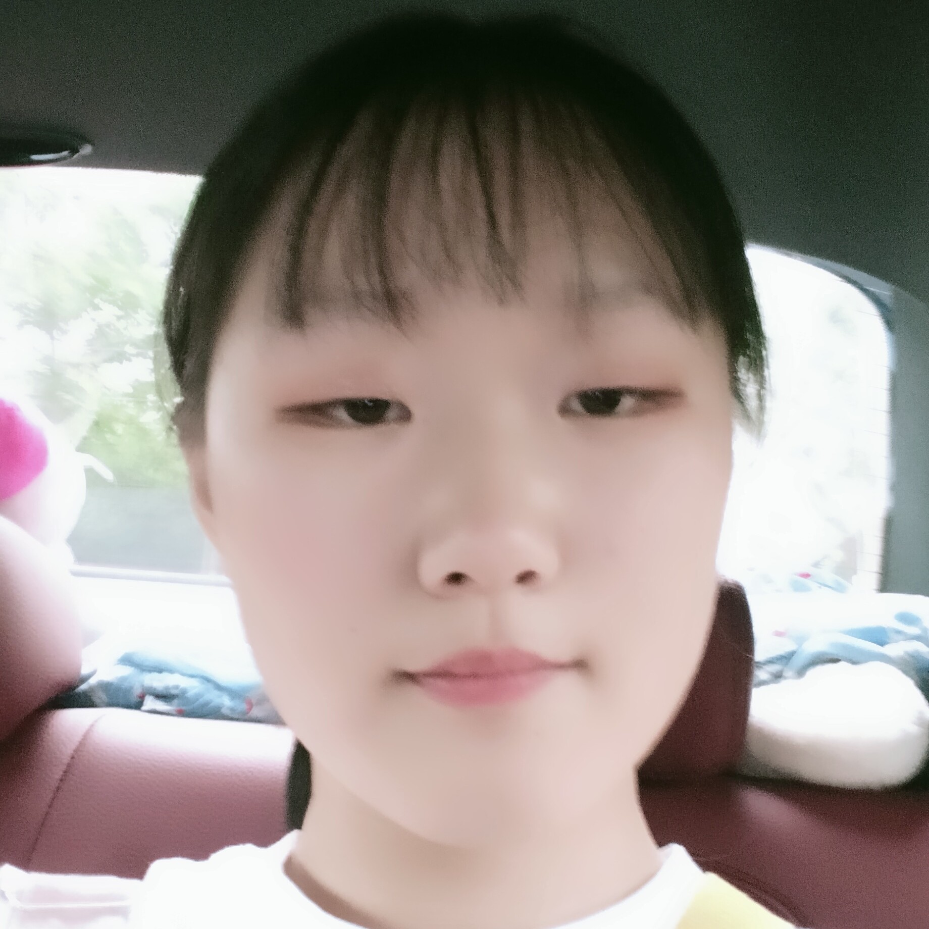 敏感回首小猫咪的照片
