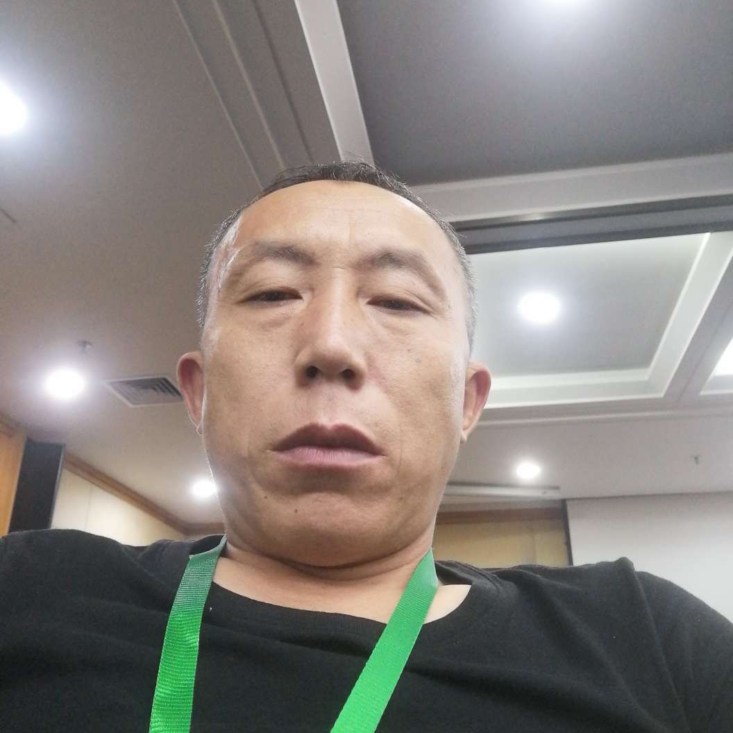 过时回眸狗的照片
