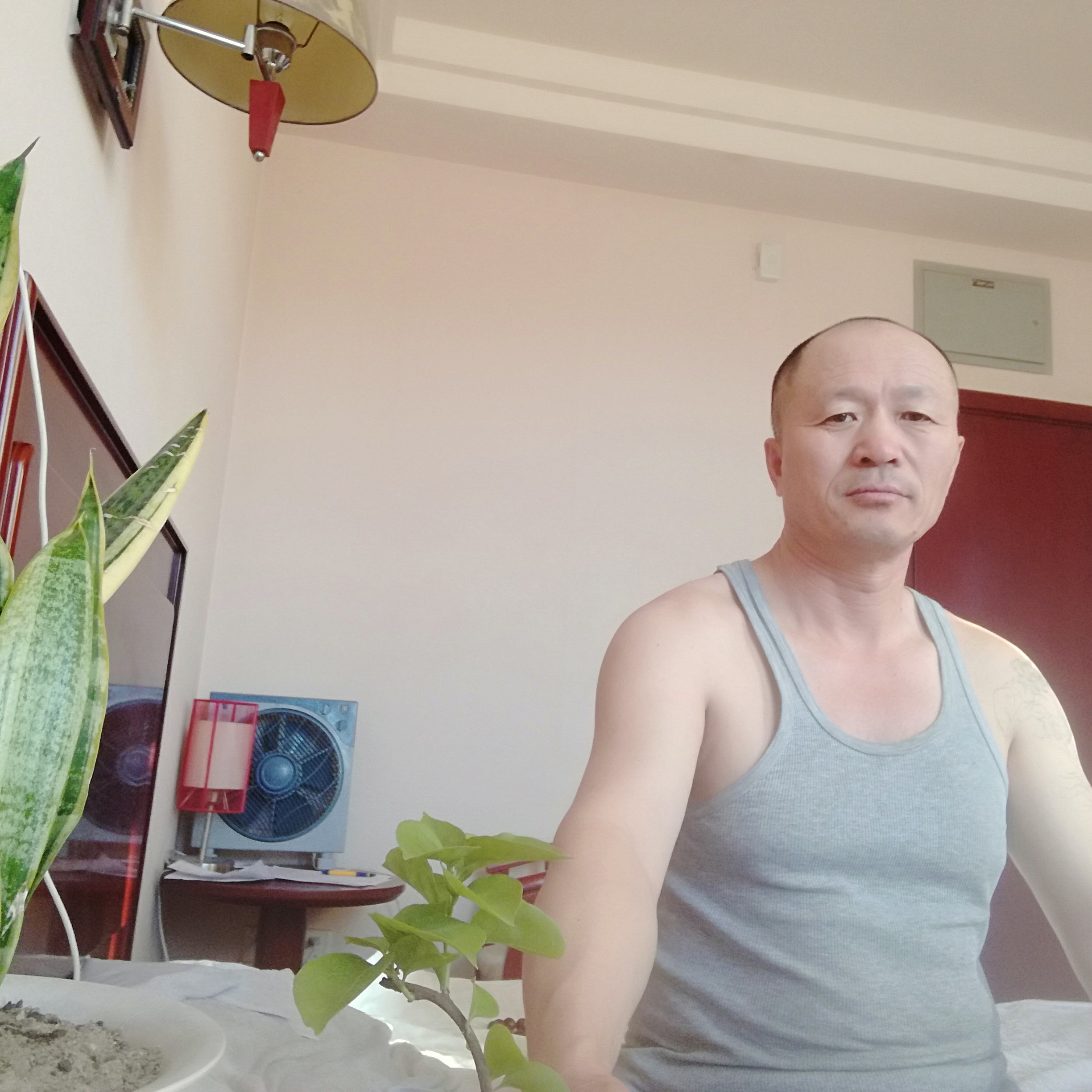 初夏那蘩藜的照片