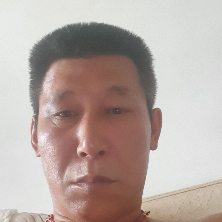 毛豆独寂的照片
