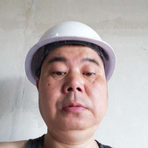 江南细竹的照片