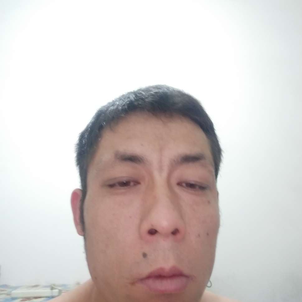 泥猴桃无限的照片