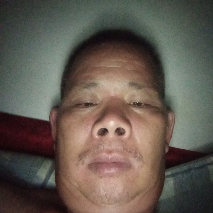 骆驼之沙漠的照片