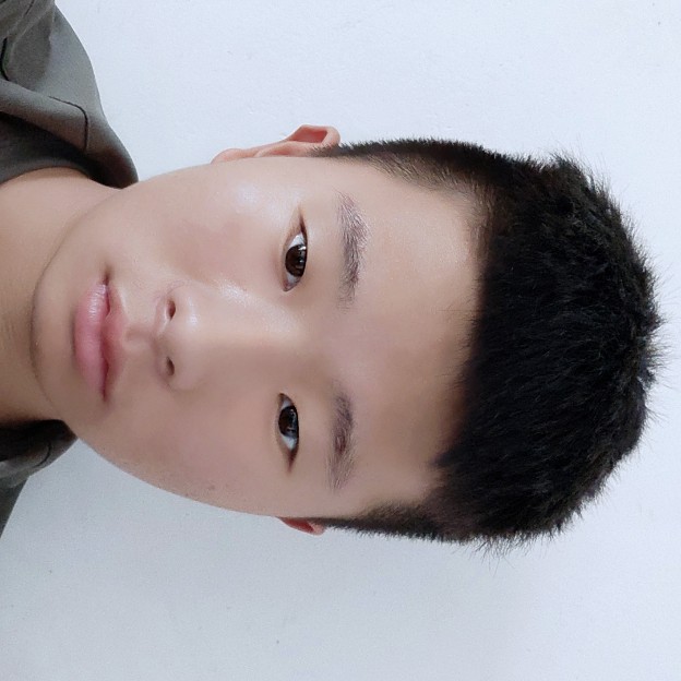 枫叶落寂的照片