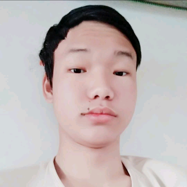 妖娆猫咪的照片