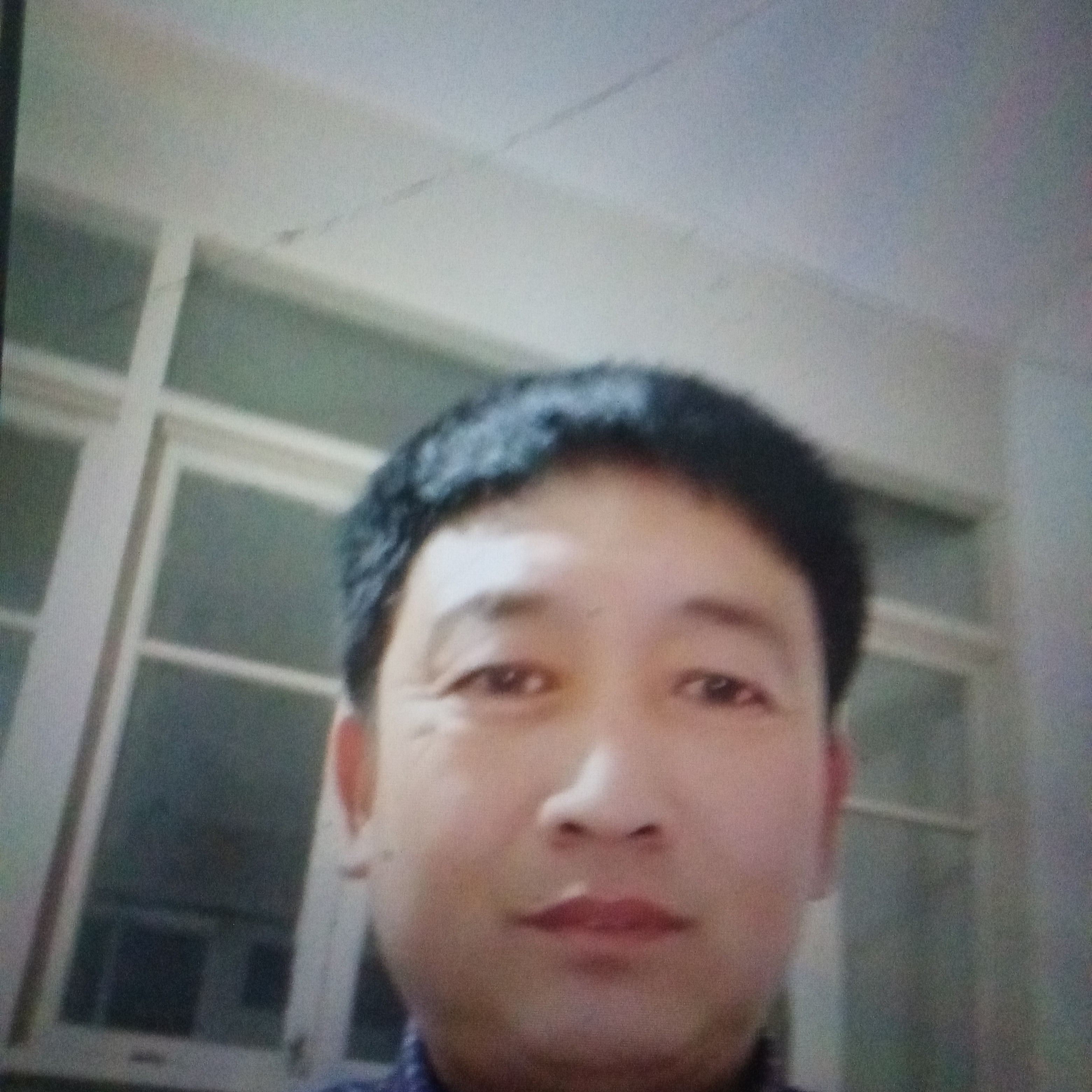 缓慢用铅笔的照片