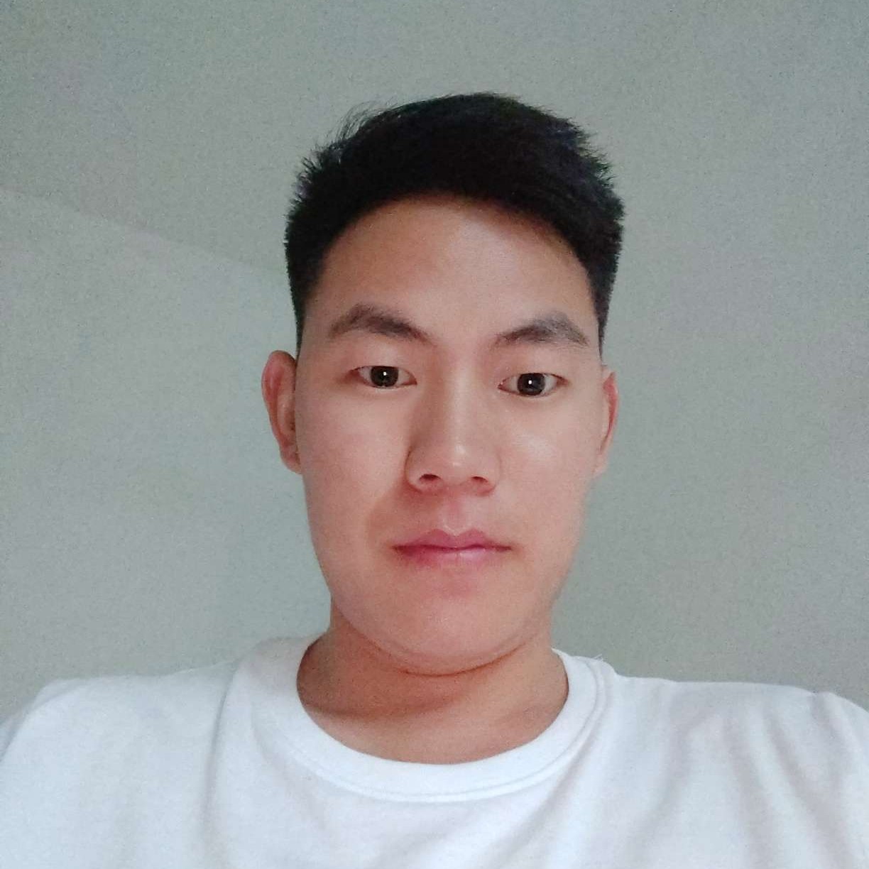 旧时光的星星的照片