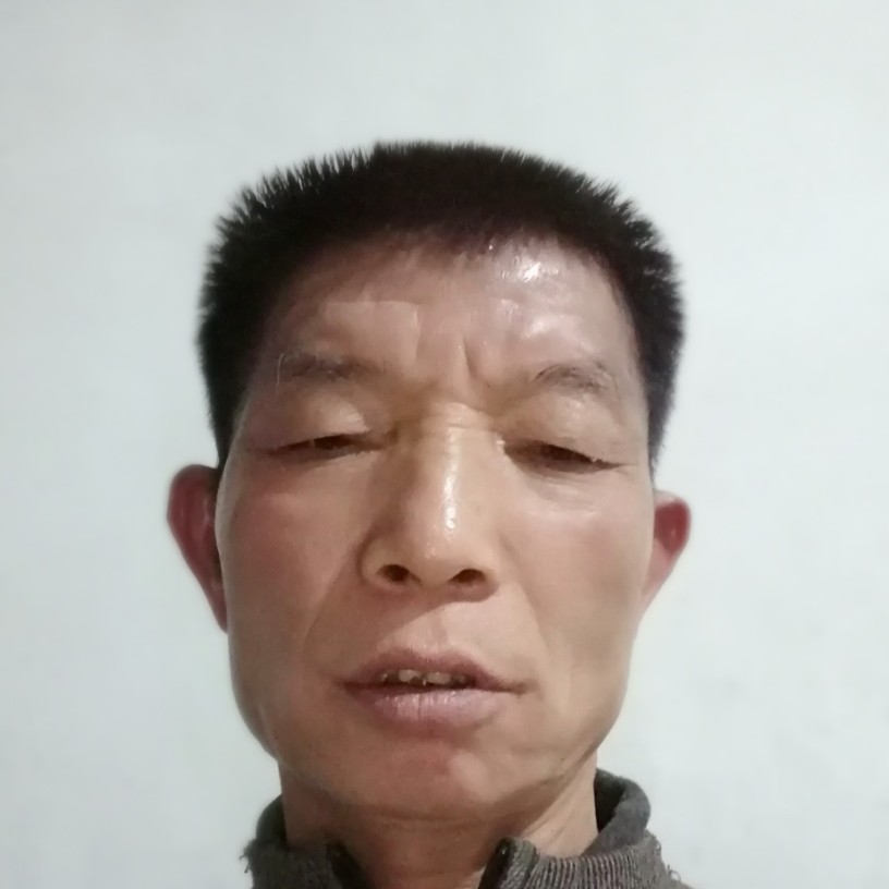 超级惊鸿的照片