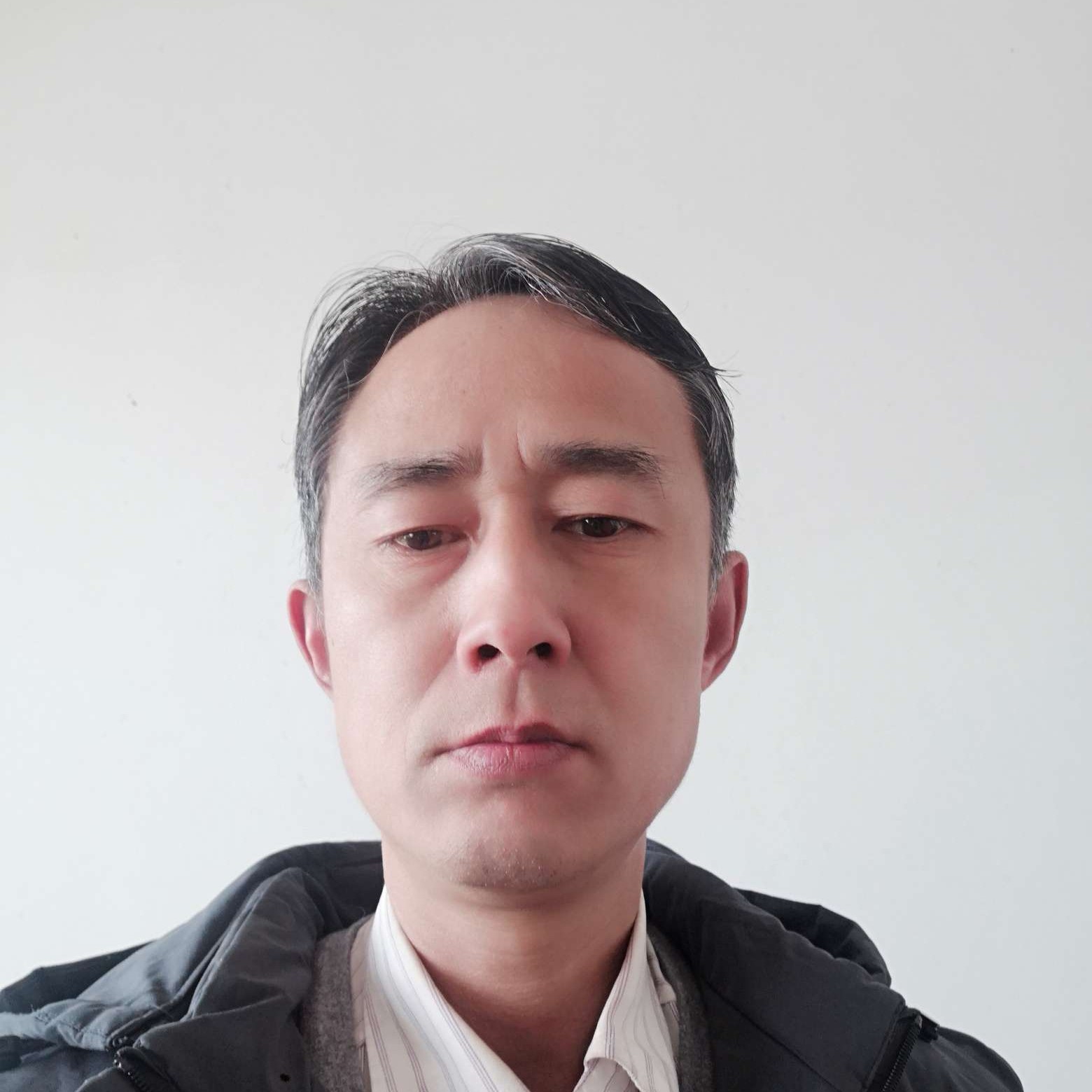 大象浅吻现代的照片