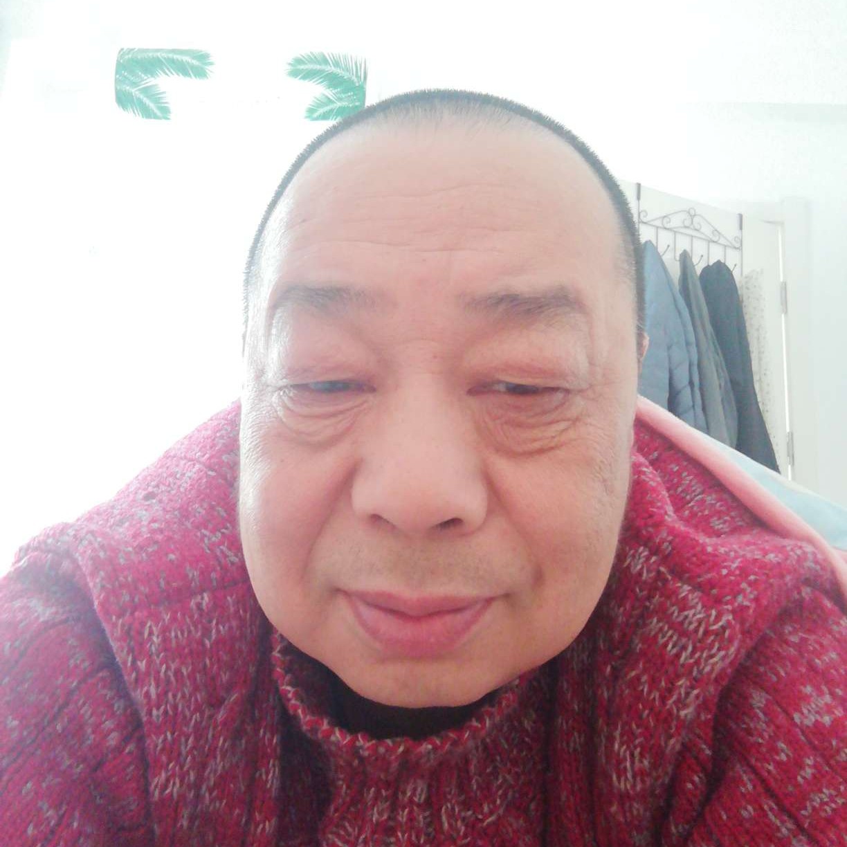苹果邂逅猎豹的照片
