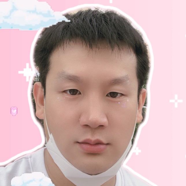 小鸽子請勤奋的照片