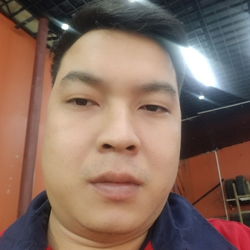 曾经爱白猫的照片