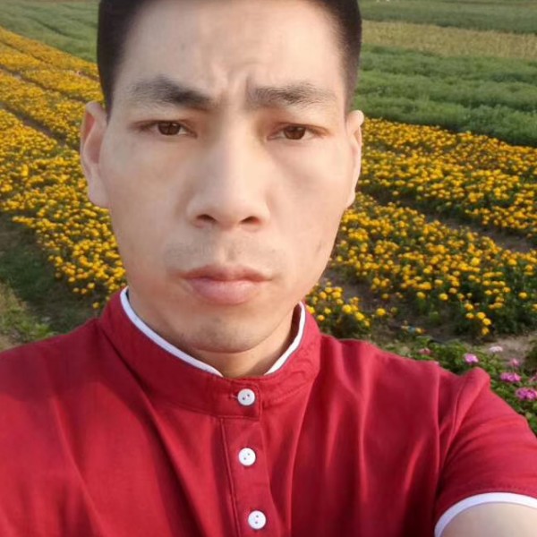 怡然和大树的照片