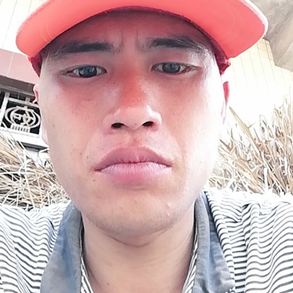 柠檬停止老实的照片